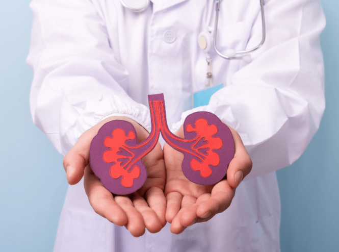 Receive advanced urology care from expert urologists at the best urology hospital in Guwahati. Specialized treatment for kidney, prostate & urinary issues.