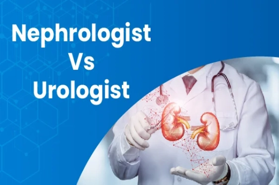 Differences betweeen Nephrologist and urologist