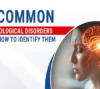 learn about 5 common neurological disorders and how to identify them