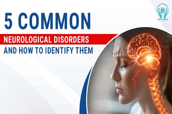 learn about 5 common neurological disorders and how to identify them